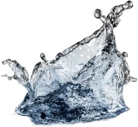 water splash on white background.jpg